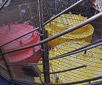 Подъем на Эйфелеву башню, Лебяжий остров и Статуя Свободы_27