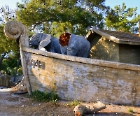 Кемер, Чамьюва, Naturland_4