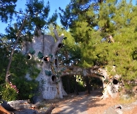 Кемер, Чамьюва, Naturland_5