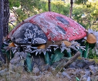 Кемер, Чамьюва, Naturland_9