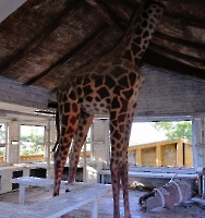 Кемер, Чамьюва, Naturland_2