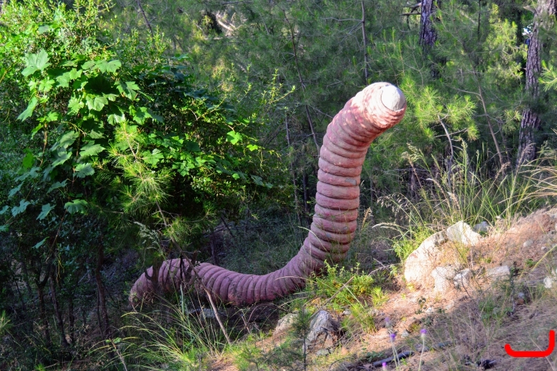 Кемер, Чамьюва, Naturland_9