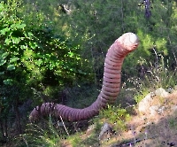 Кемер, Чамьюва, Naturland_9