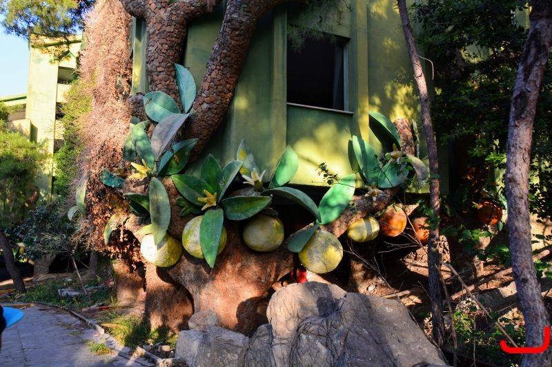 Кемер, Чамьюва, Naturland_3