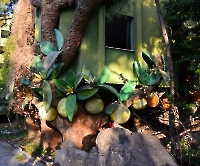 Кемер, Чамьюва, Naturland_3