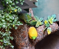 Кемер, Чамьюва, Naturland_6