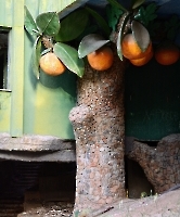 Кемер, Чамьюва, Naturland_7