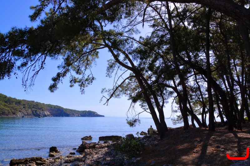 Кемер, Чамьюва, Фазелис_4