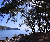 Кемер, Чамьюва, Фазелис_4