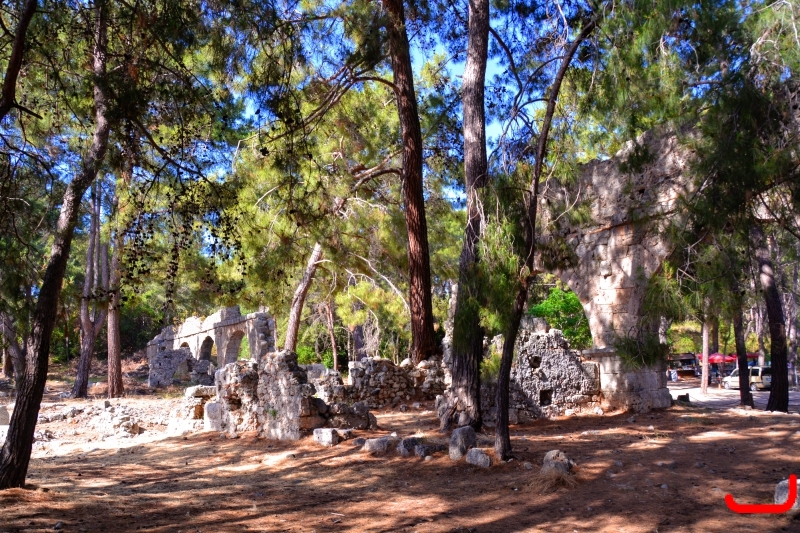 Кемер, Чамьюва, Фазелис_6