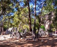 Кемер, Чамьюва, Фазелис_6