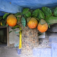 Кемер, Чамьюва, Naturland_1