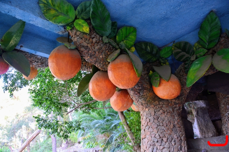 Кемер, Чамьюва, Naturland_1