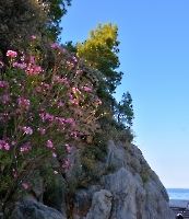 Кемер, Чамьюва,Олимпос и Химера_10