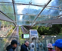 Эйфелева башня_4