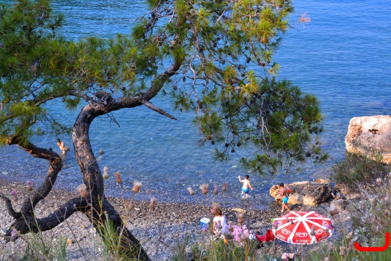 Райская бухта_6