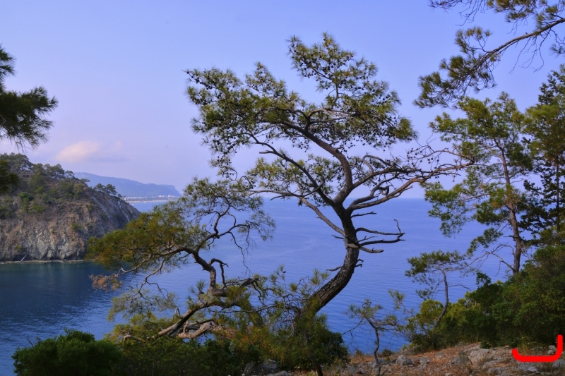 Райская бухта_6