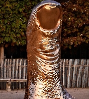 Дом инвалидов_3