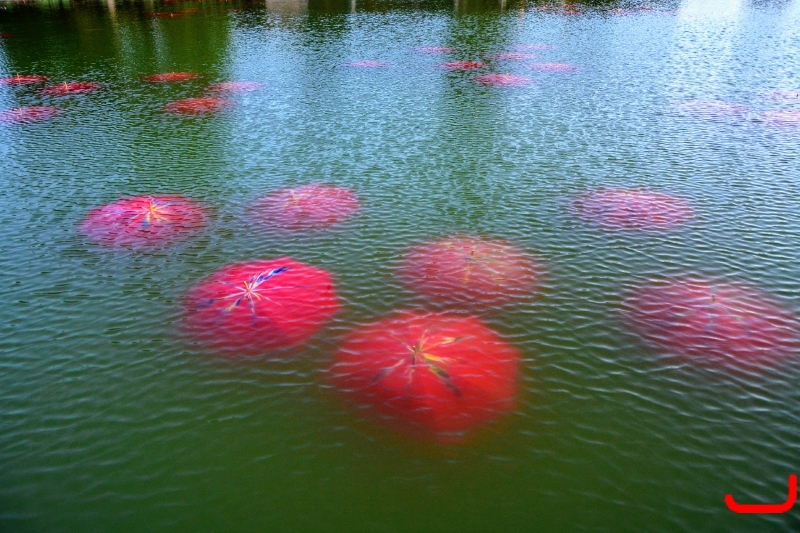 Дом инвалидов_5