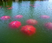 Дом инвалидов_5