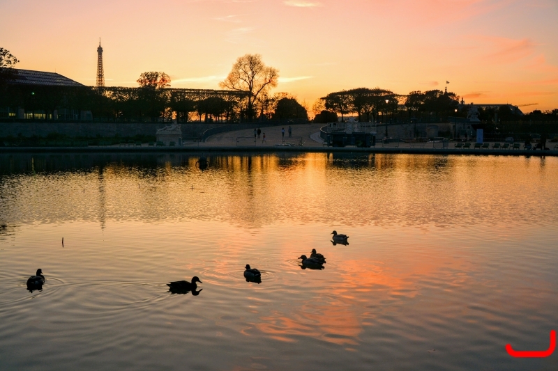 Дом инвалидов_8