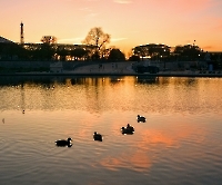 Дом инвалидов_8