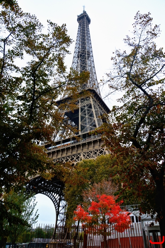 Сена на кораблике_8