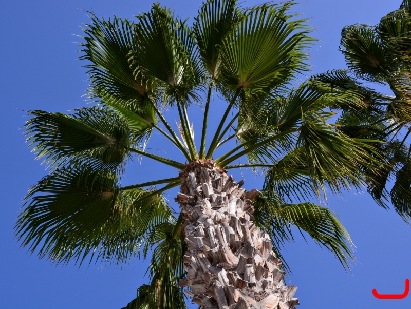 Отель и окрестности_3