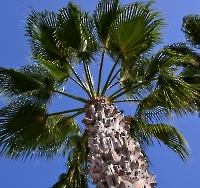 Отель и окрестности_3