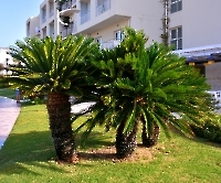 Отель и окрестности_5