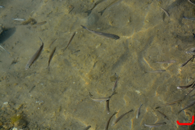 Отель и окрестности_6