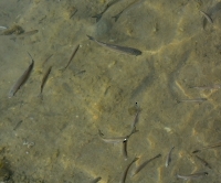 Отель и окрестности_6