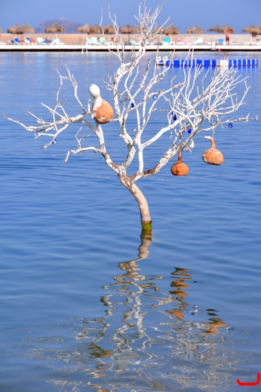 Отель и окрестности_1