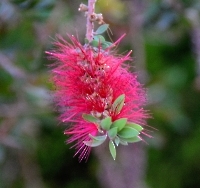 Отель и окрестности_2