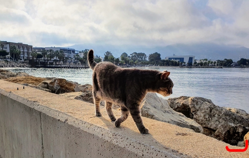 Отель и окрестности_5