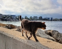 Отель и окрестности_5