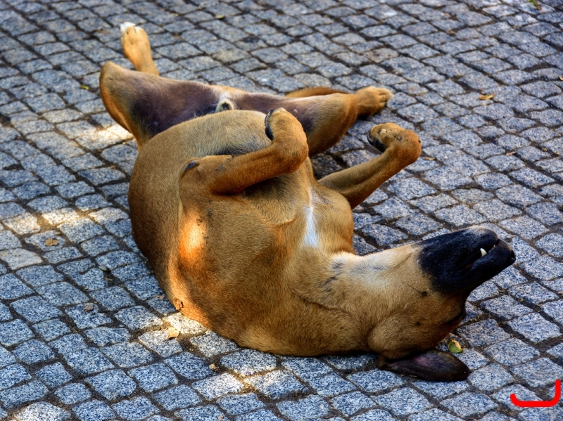 Отель и окрестности_1