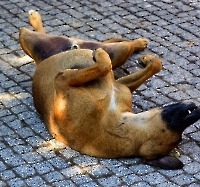 Отель и окрестности_1