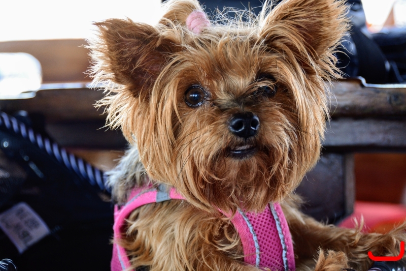 Прогулка на кораблике_7