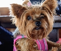 Прогулка на кораблике_7