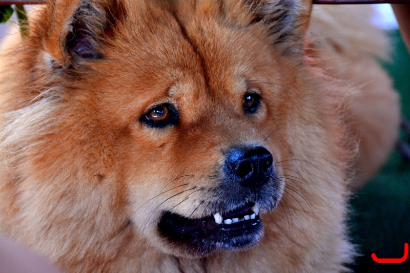 Прогулка на кораблике_8