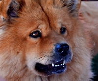 Прогулка на кораблике_8