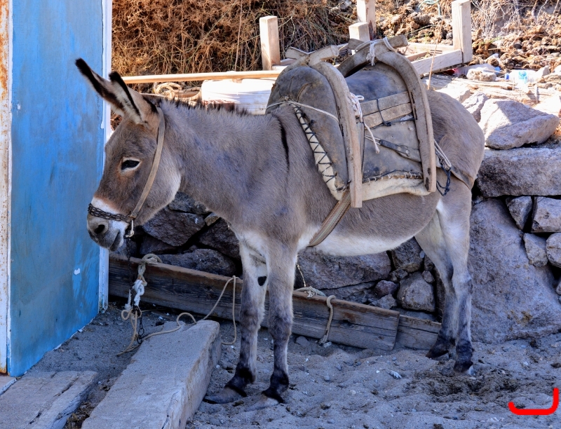 Прогулка на кораблике_8