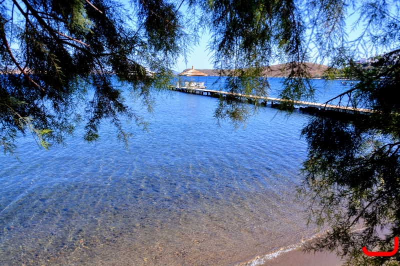 Прогулка на кораблике_9