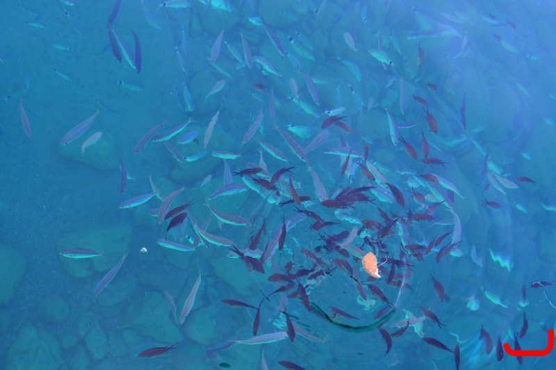 Прогулка на кораблике_3