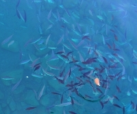 Прогулка на кораблике_3