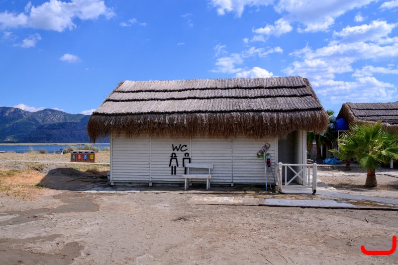 Экскурсия в Дальян_5