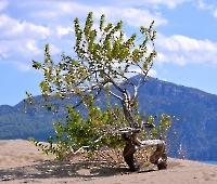 Экскурсия в Дальян_7