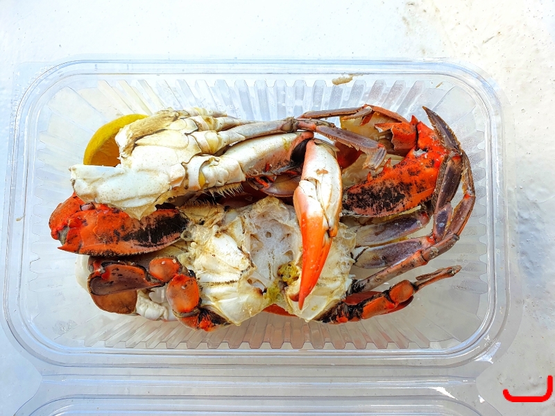 Экскурсия в Дальян_8