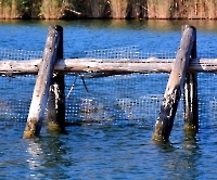 Экскурсия в Дальян_9